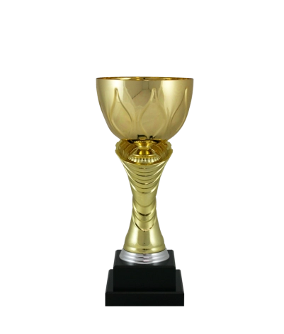 Euro Cup - Modena