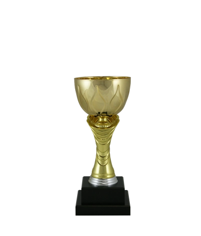Euro Cup - Modena