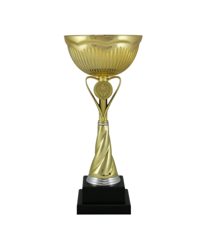 Euro Cup - Rimimi