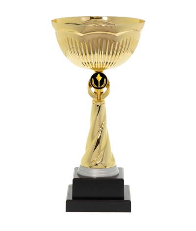 Euro Cup - Rimimi