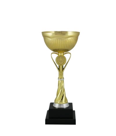 Euro Cup - Rimimi
