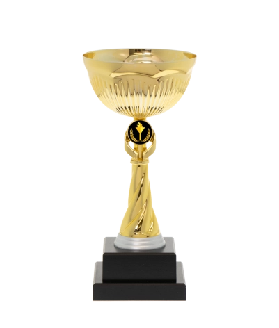 Euro Cup - Rimimi