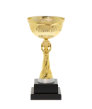 Euro Cup - Rimimi