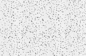 Impressions Tile Star 16x600x1200mm SE