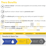 TheraCal LC Syringe with Tips (1gm)