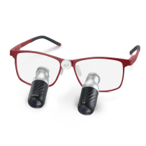 Enova Prismatic Vizix 4.5 Loupes