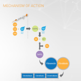 BIO C Sealer 2gm (4 x 0.5gm)