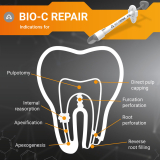 BIO C Repair (0.5gm)
