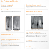 BIO C Repair (0.5gm)