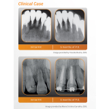 BIO C Repair (0.5gm)