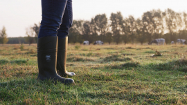 Bekina Steplite&reg;X Solidgrip Green/Black