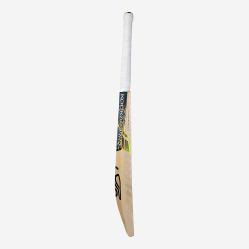 Pro 6.0 Beast Junior Cricket Bat