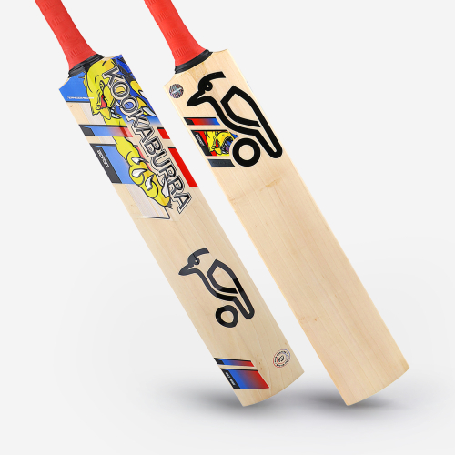 BEAST PRO PLAYERS SENIOR CRICKET BAT