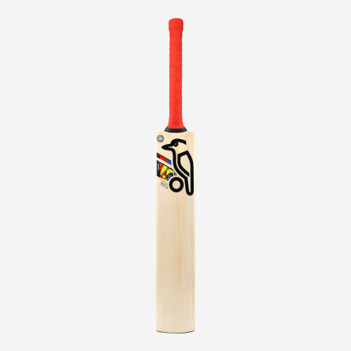 BEAST PRO 6.0 SENIOR CRICKET BAT