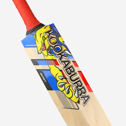 BEAST PRO 6.0 SENIOR CRICKET BAT
