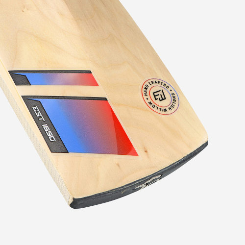 BEAST PRO 6.0 SENIOR CRICKET BAT