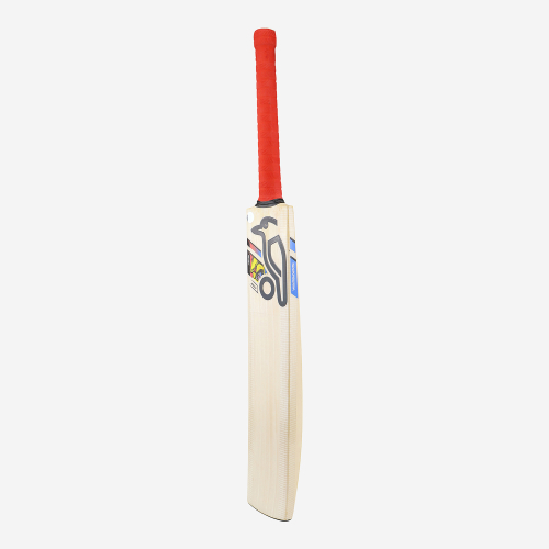 BEAST PRO 6.0 SENIOR CRICKET BAT