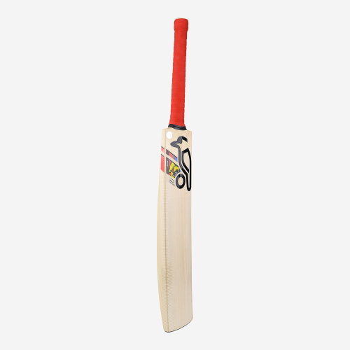 BEAST PRO 6.0 SENIOR CRICKET BAT