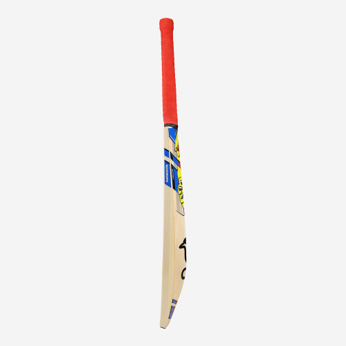 BEAST PRO 6.0 SENIOR CRICKET BAT