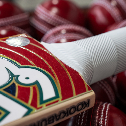 BUBBLE ALYSSA HEALY COMMEMORATIVE LE CRICKET BAT