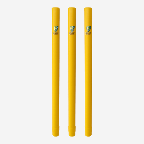 CA plastic Cricket set