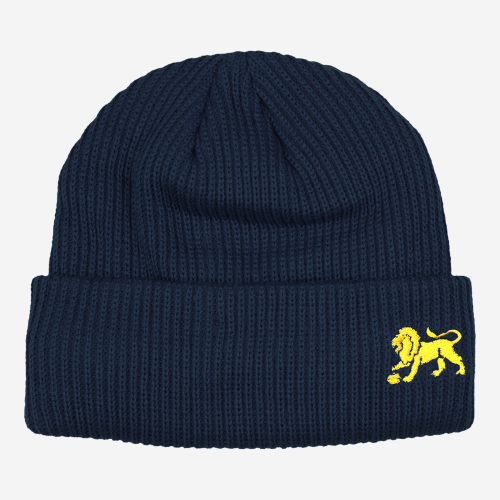 Brisbane Lions AFL Intercept Beanie 