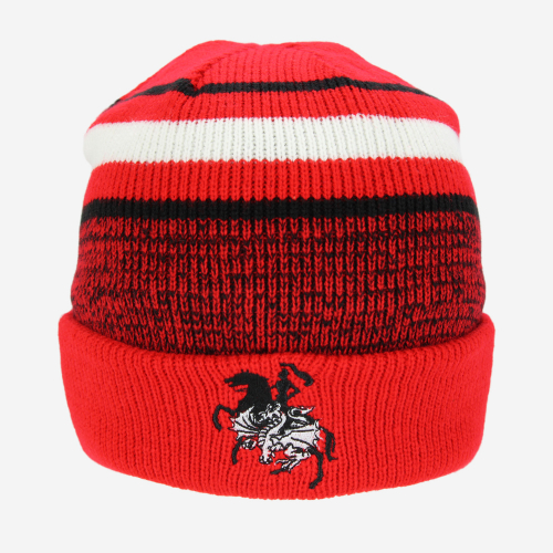 ST GEORGE ILLAWARRA DRAGONS CLUSTER BEANIE