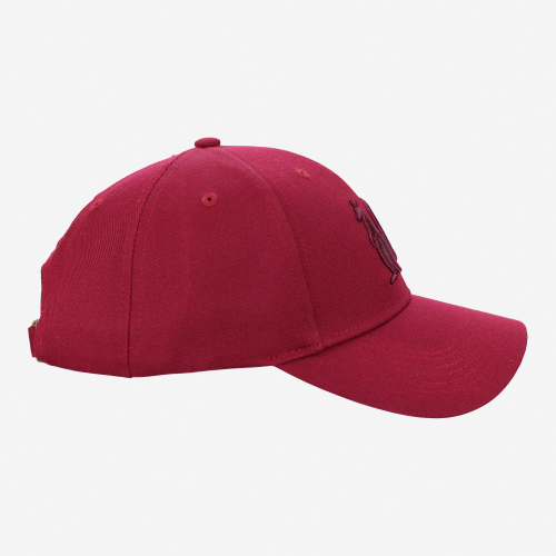Queensland Sideline Cap