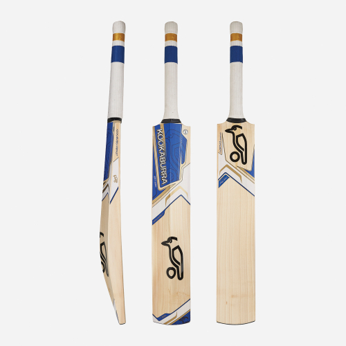 DYNASTY PRO 1200 CRICKET BAT