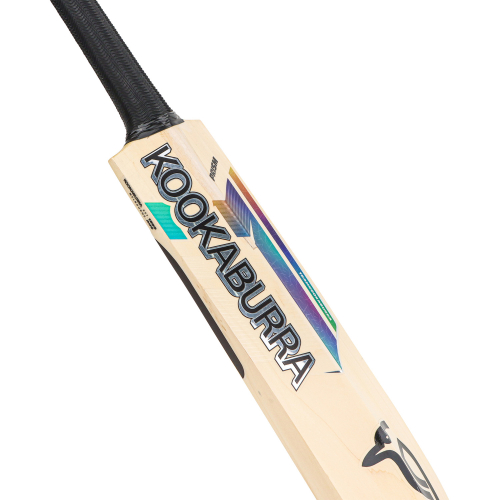 Prism Pro 1.0 English Willow Cricket Bat - Junior