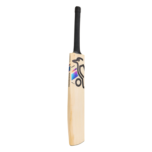 Prism Pro 1.0 English Willow Cricket Bat - Junior