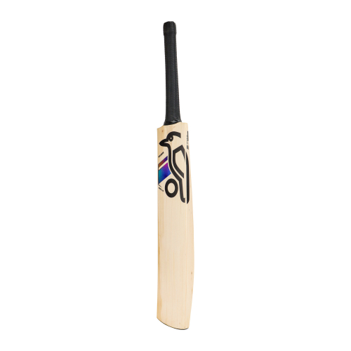 Prism Pro 1.0 English Willow Cricket Bat - Adult