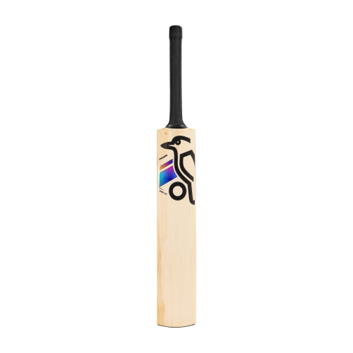 Prism Pro 1.0 English Willow Cricket Bat - Adult