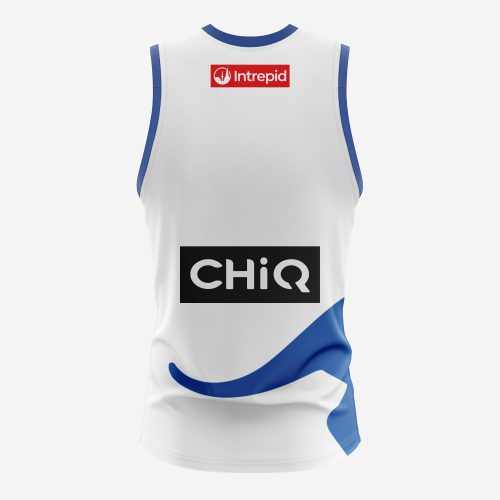 NMFC YOUTH AWAY REPLICA JUMPER