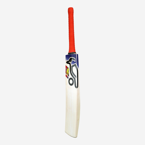 Beast Pro 2.0 EW Junior Cricket Bat