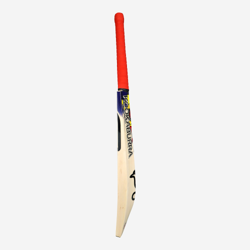 Beast Pro 2.0 EW Junior Cricket Bat