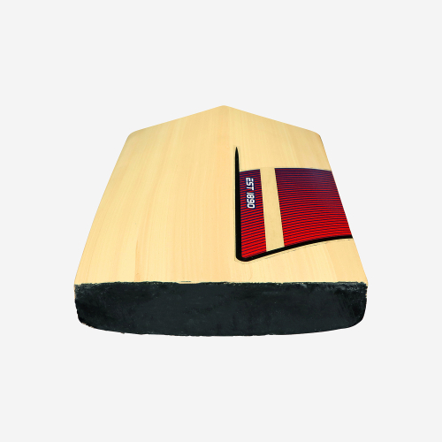 Beast Pro 9.0 Kashmir Cricket Bat