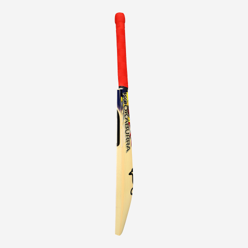Beast Pro 9.0 Kashmir Cricket Bat