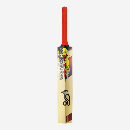 Beast Pro 9.0 Kashmir Cricket Bat