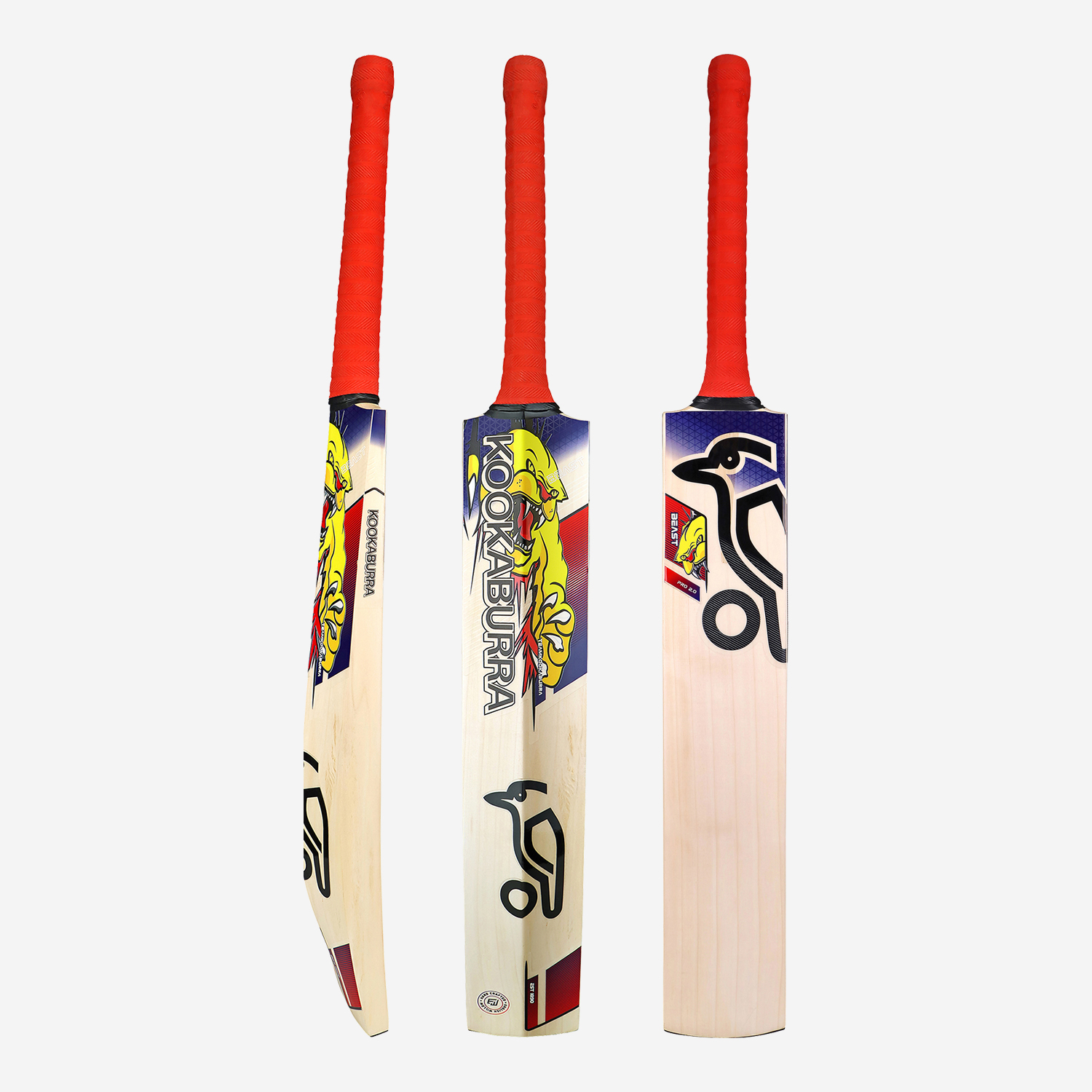 Beast Pro 2.0 EW Adult Cricket Bat | Low Profile, Maximum Power