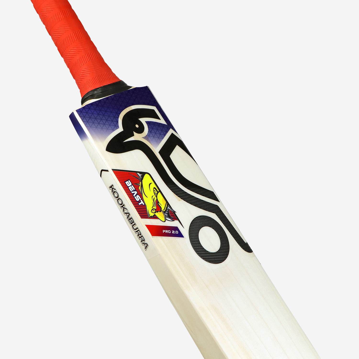 Beast Pro 2.0 EW Adult Cricket Bat | Low Profile, Maximum Power