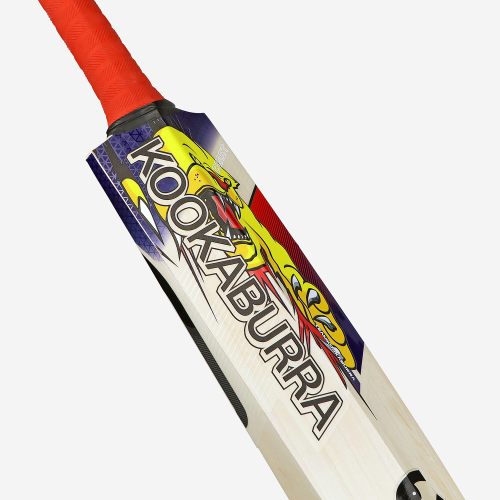 Beast Pro 2.0 EW Adult Cricket Bat