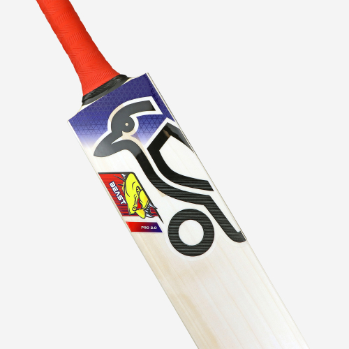 Beast Pro 2.0 EW Adult Cricket Bat