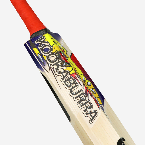 Beast Pro Players EW Adult Cricket Bat