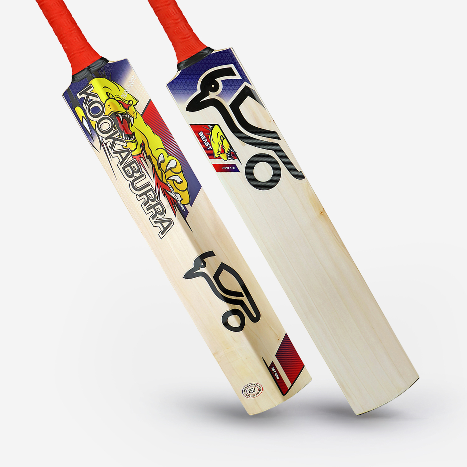 Beast Pro 4.0 EW Adult Cricket Bat