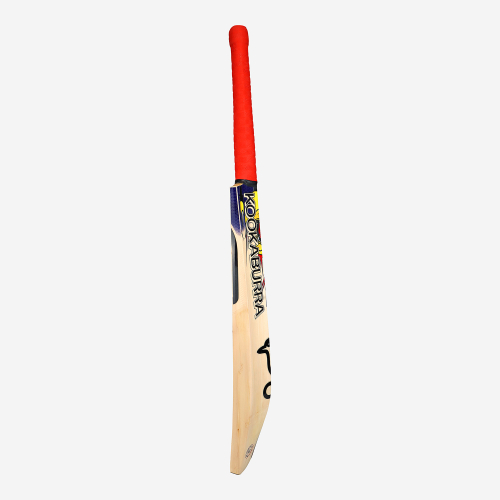 Beast Pro 4.0 EW Adult Cricket Bat