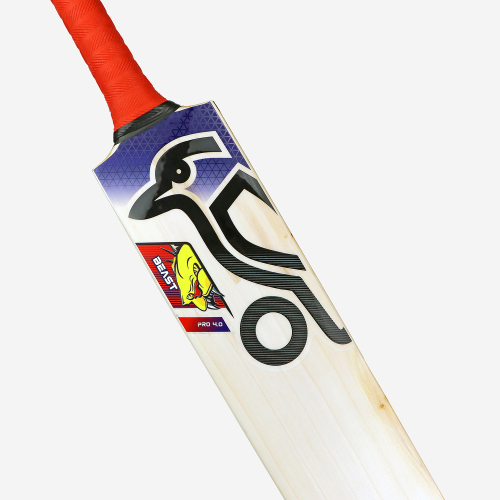 Beast Pro 4.0 EW Adult Cricket Bat