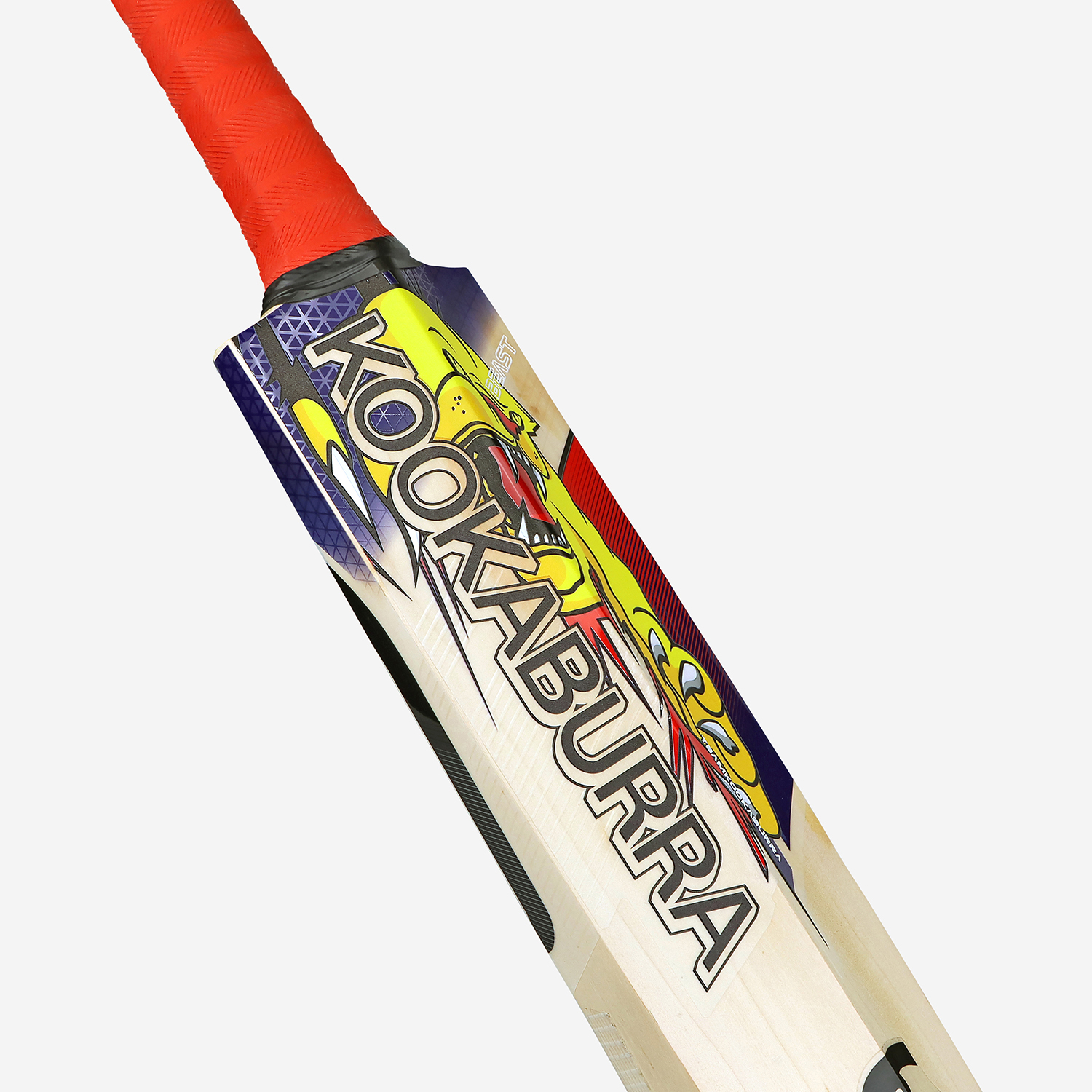 Beast Pro 6.0 EW Adult Cricket Bat | Durable Build