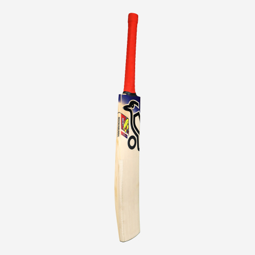 Beast Pro 6.0 EW Adult Cricket Bat