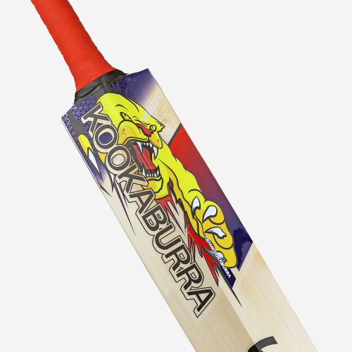 Beast Pro 6.0 EW Adult Cricket Bat